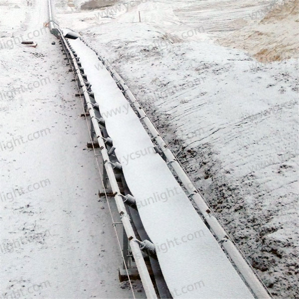 Cold Resistant Conveyor Belt(-45°)