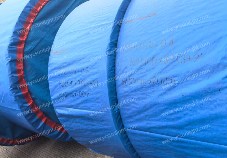 NN100 Conveyor Belt for Srilanka